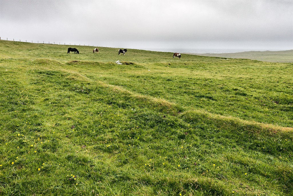 Shetland 039 come oggetto avanzato-1 copia